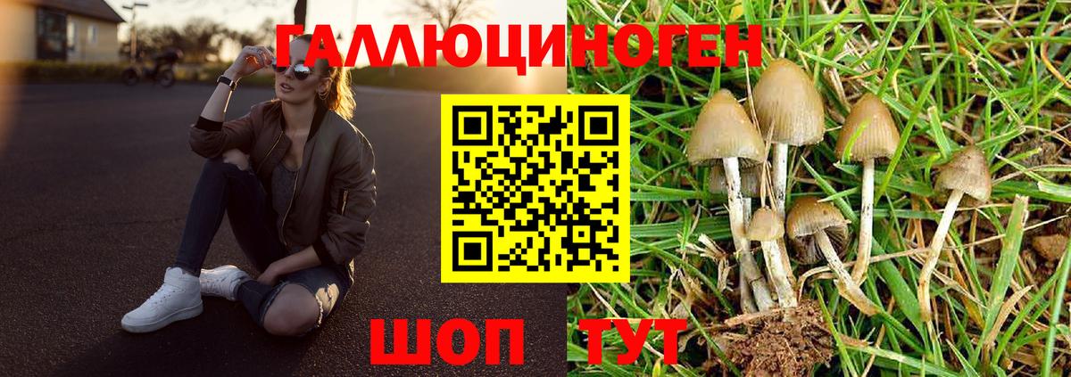 Орёл  Псилоцибиновые грибы мухоморы  Вход с VPN  купить закладку  Псилоцибиновые грибы MAGIC MUSHROOMS 